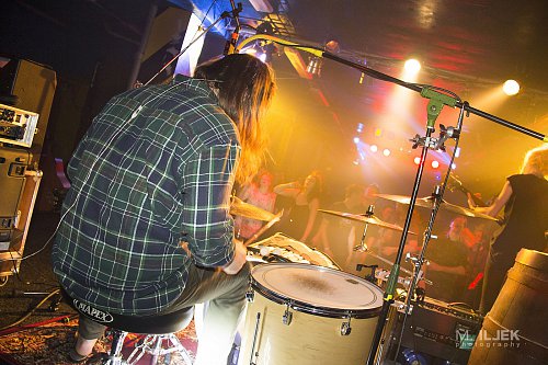 Wild Roots 25/12/2018