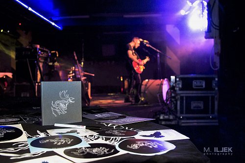 Wild Roots 25/12/2018