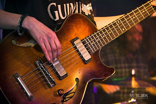 Wild Roots 25/12/2018