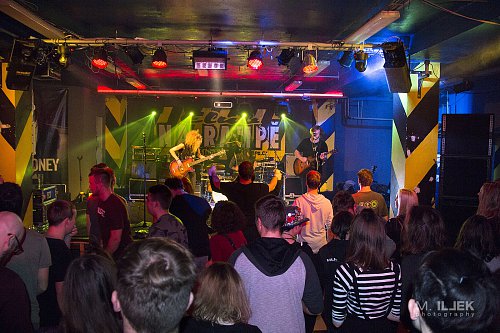 Wild Roots 25/12/2018