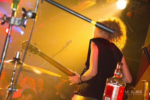 Wild Roots 25/12/2018