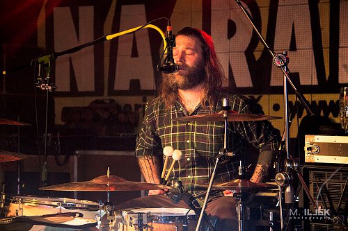Wild Roots 25/12/2018