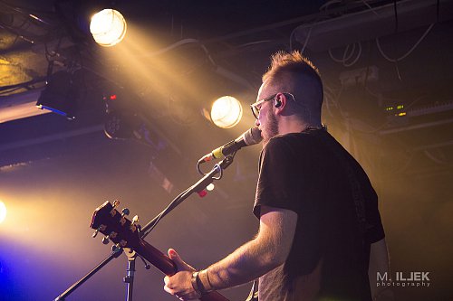 Wild Roots 25/12/2018