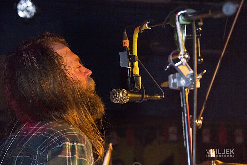 Wild Roots 25/12/2018